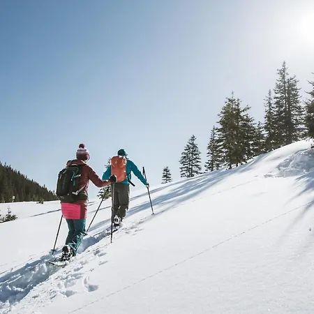 Zirlerhof Séjour à la ferme *