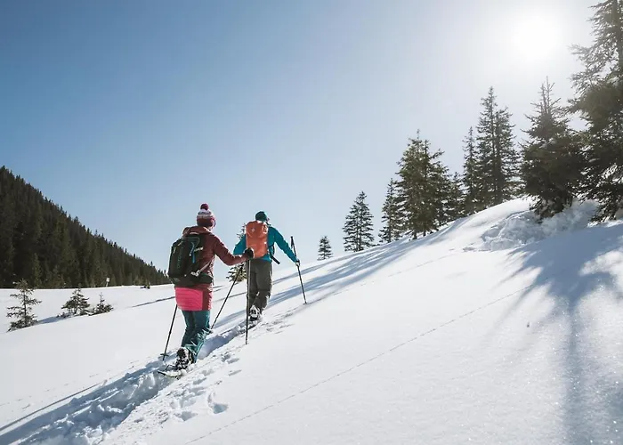 Zirlerhof Bauernhof *
