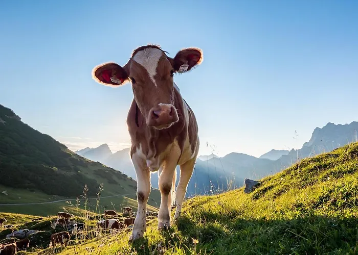 农家乐 Zirlerhof *